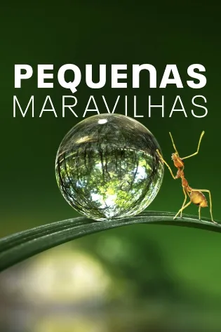 Assistir Pequenas Maravilhas Online