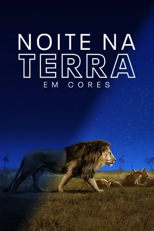 Assistir Noite na Terra em Cores Online