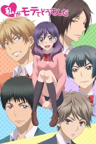 Assistir Watashi ga Motete Dousunda Online