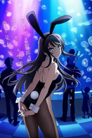 Assistir Rascal Does Not Dream of Bunny Girl Senpai Online