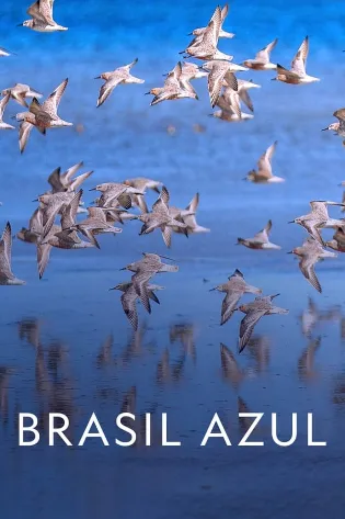 Brasil Azul