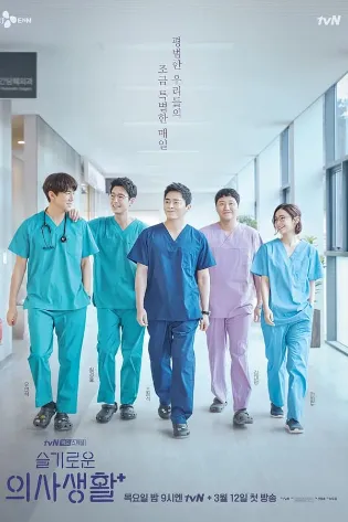 Assistir Hospital Playlist Online