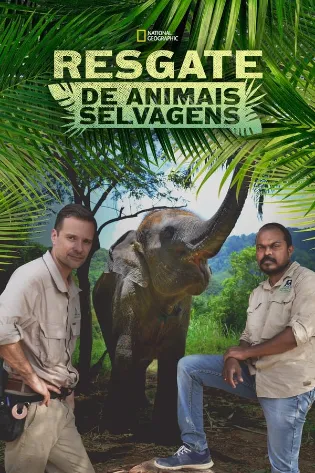 Assistir Heróis da Selva Online